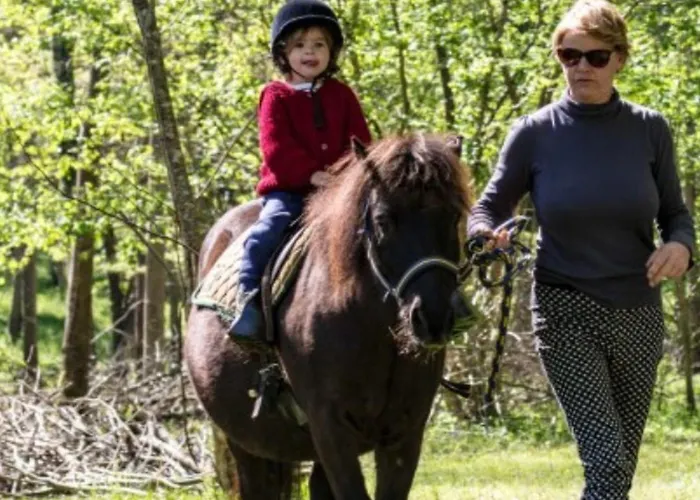 4 Pieces Avec Terrasse, Jusqu'a 7 Personnes - Api-1-52-1424 Campsite *